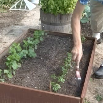 lannoitus kasvimaa lannoitus kasvimaa